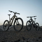 Amflow PX Carbon electric mountain bike