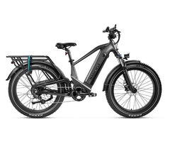 Magicycle – Deer Touring Version - EBike Osis