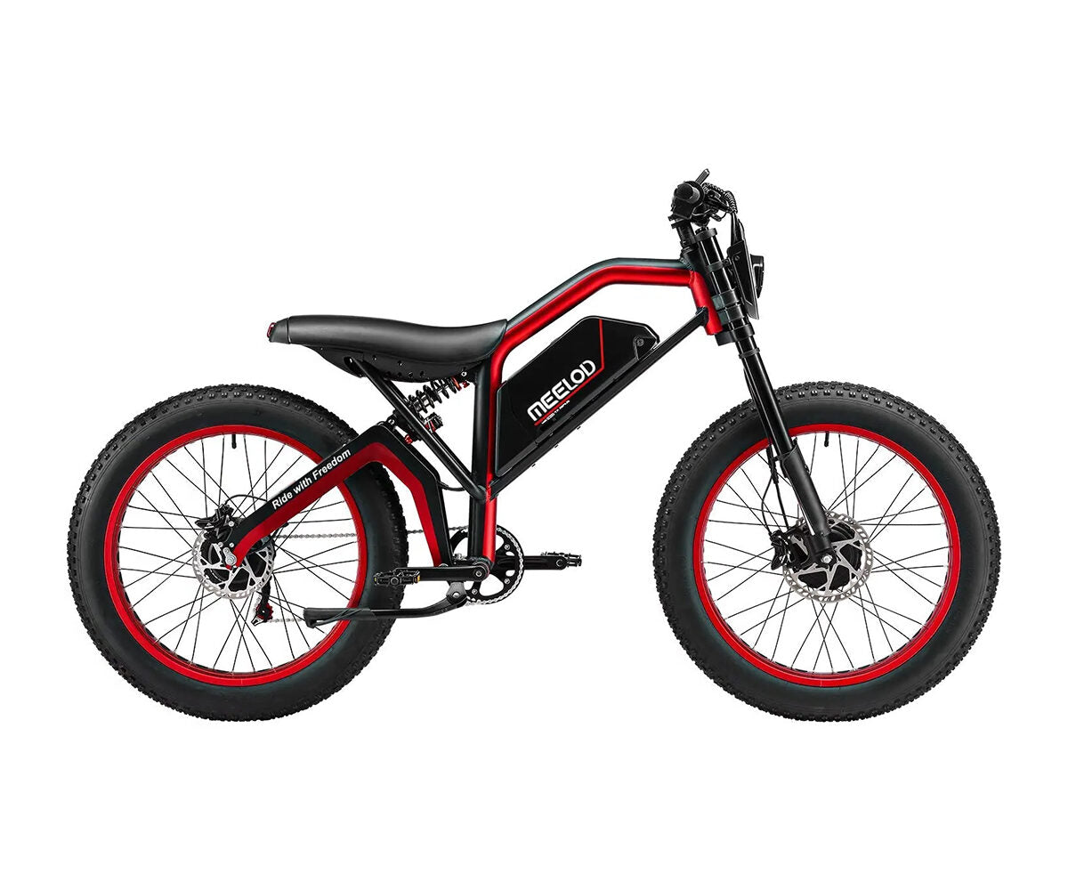 Meelod – XT600 DL - EBike Osis