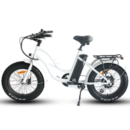 750W, 52V 17AH Step Thru Mini 20x4 - Beach Cruiser Electric Bike