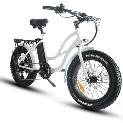 750W, 52V 17AH Step Thru Mini 20x4 - Beach Cruiser Electric Bike