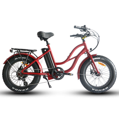 750W, 52V 17AH Step Thru Mini 20x4 - Beach Cruiser Electric Bike