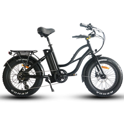 750W, 52V 17AH Step Thru Mini 20x4 - Beach Cruiser Electric Bike