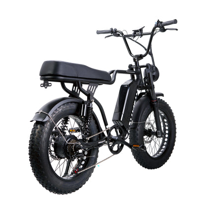 F2-Full Suspension 20x4 - 48v Ebike