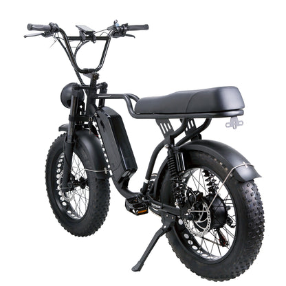 F2-Full Suspension 20x4 - 48v Ebike