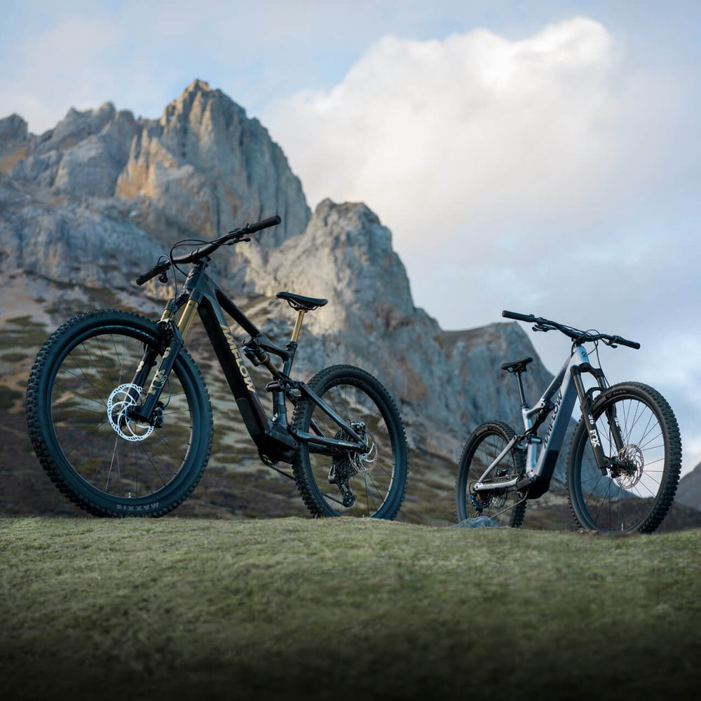 Amflow PL Carbon electric mountain bike