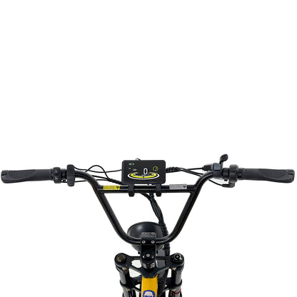 F4-Step Thru Full Suspension 20x3 - 48v Cargo Ebike