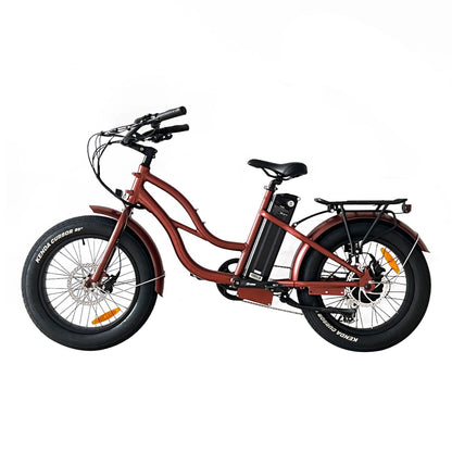 750w, 52v 17AH Battery, Beach Cruiser, Fat Tire 24x3, 7-Speed Step Thru Electric Bike