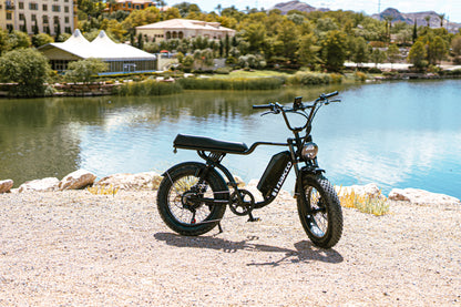 F2-Full Suspension 20x4 - 48v Ebike