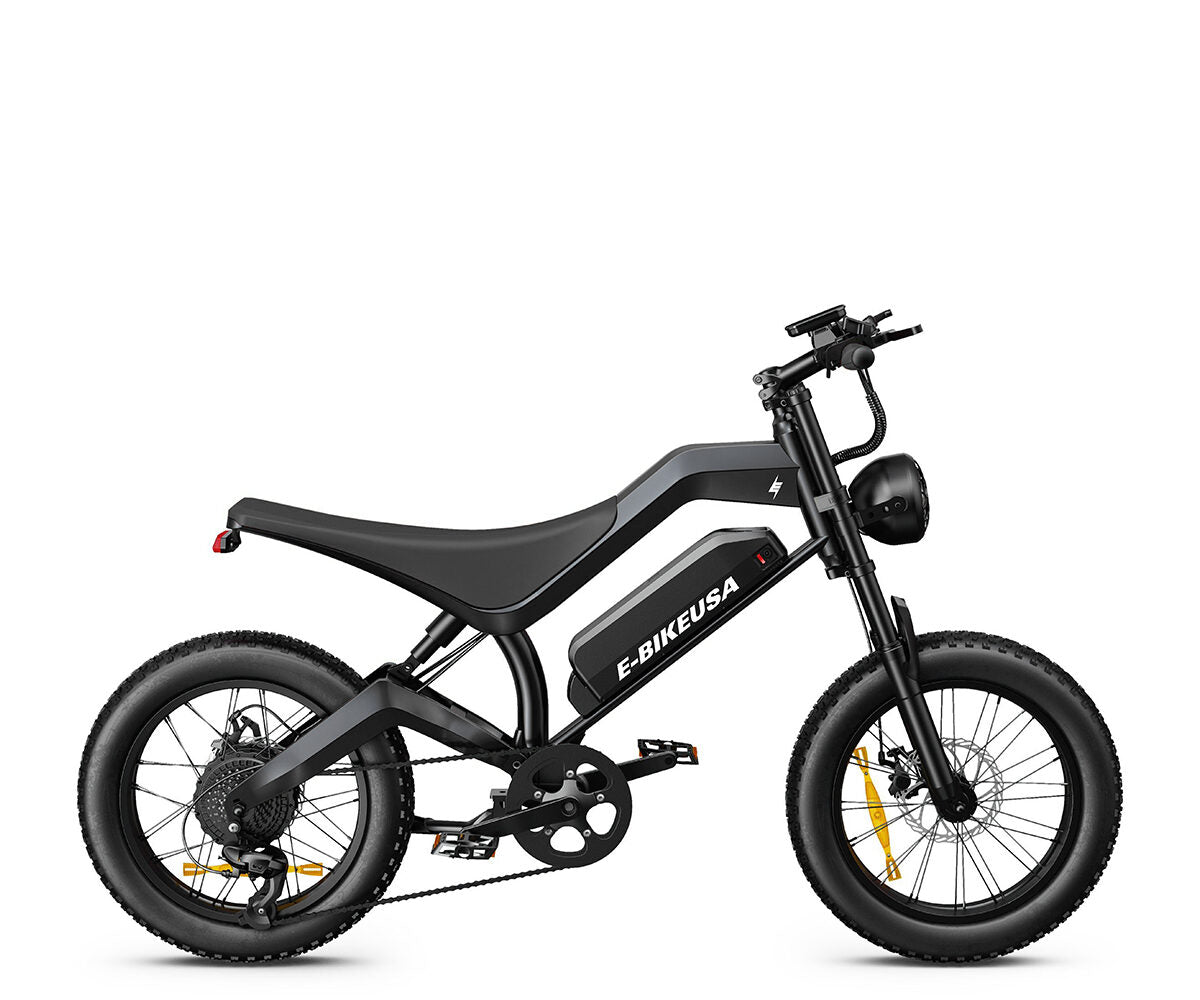 E-BIKE USA – Avalon