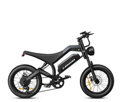 E-BIKE USA – Avalon