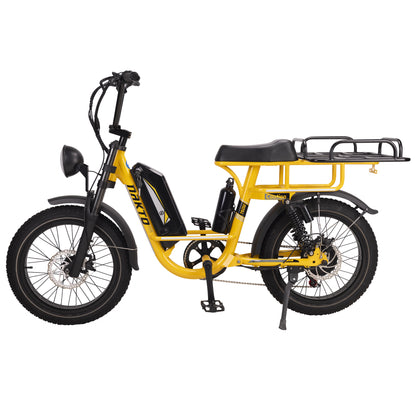 F4-Step Thru Full Suspension 20x3 - 48v Cargo Ebike