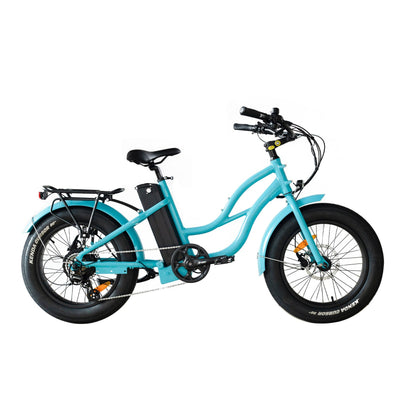 750W, 52V 17AH Step Thru Mini 20x4 - Beach Cruiser Electric Bike