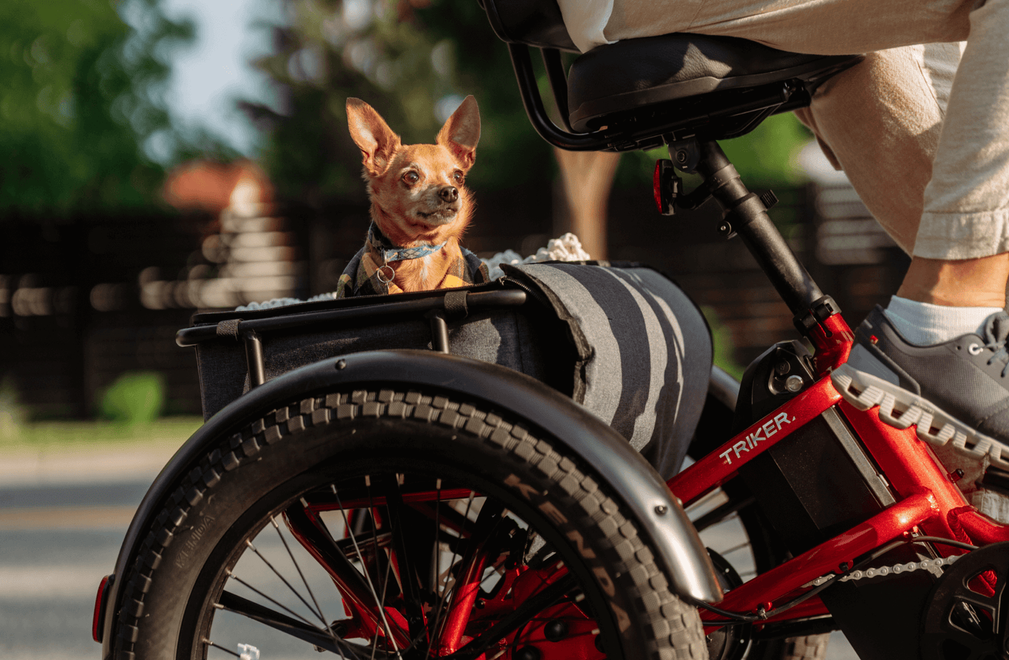 Velotric Triker Electric Tricycle - EBike Osis