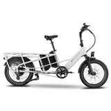Lectric XPedition2 Stratus White Dual-Battery eBike rear view at EBike Oasis