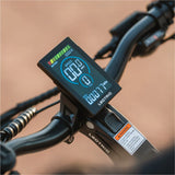 Lectric XPedition2 Stratus White Dual-Battery eBike rear view at EBike Oasis