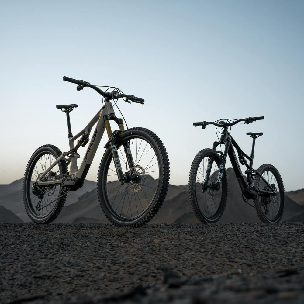 Amflow PX Carbon electric mountain bike