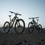 Amflow PX Carbon electric mountain bike