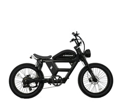 E-BIKE USA – Condor - EBike Osis