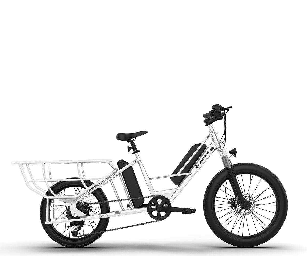 E-BIKE USA – Eagle - EBike Osis