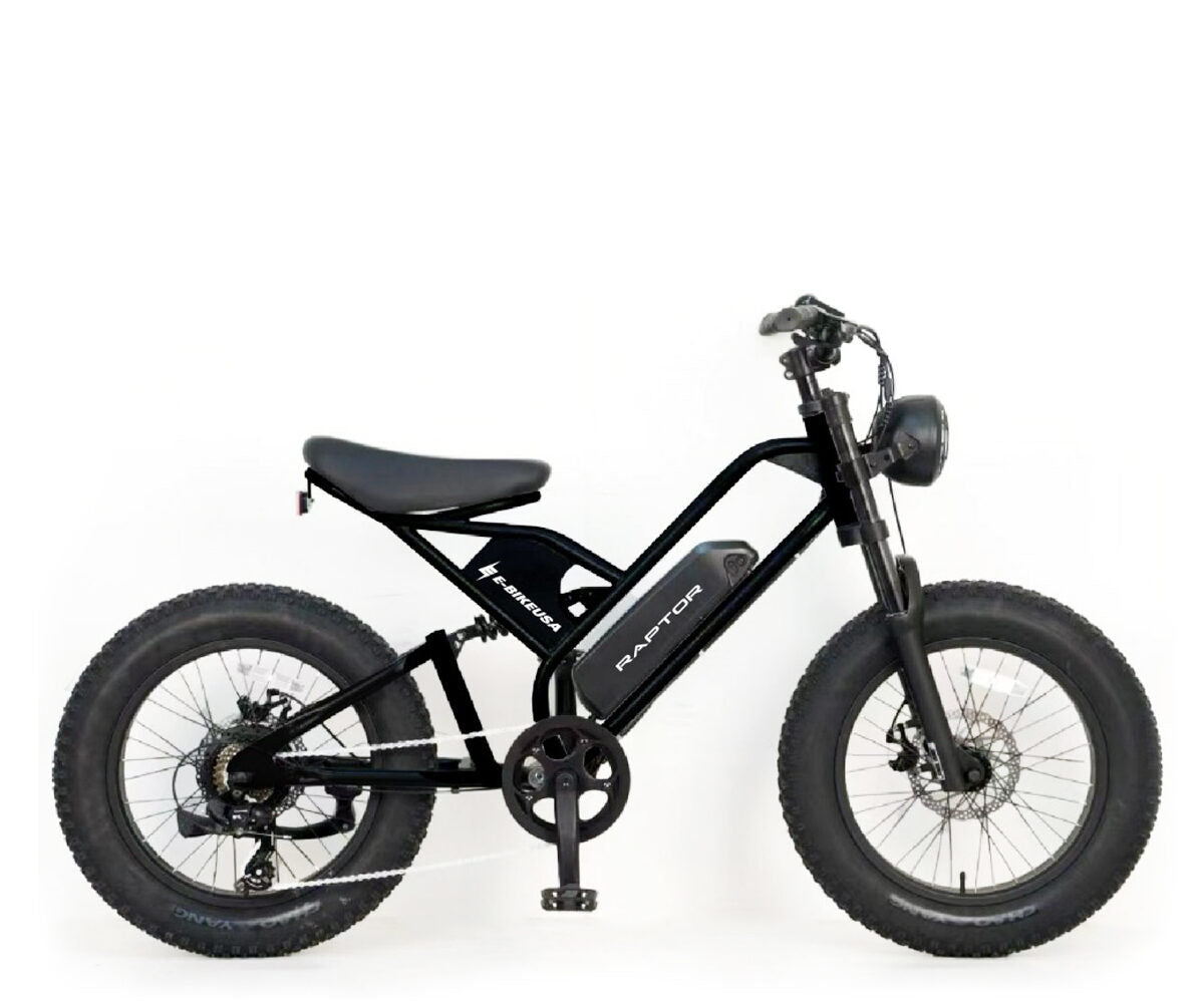 E-BIKE USA – Raptor - EBike Osis