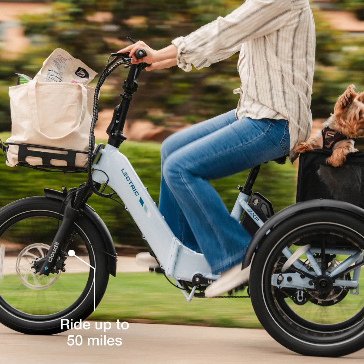 Lectric XP Trike2 Glacier Blue eTrike